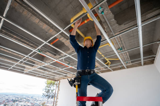 Best Plumbing Repair Near Me  in Carthage, TX